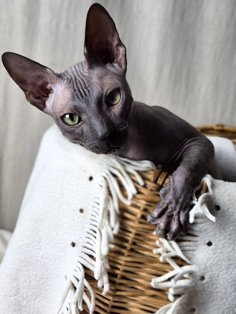 Photograph by Елена Аникеева