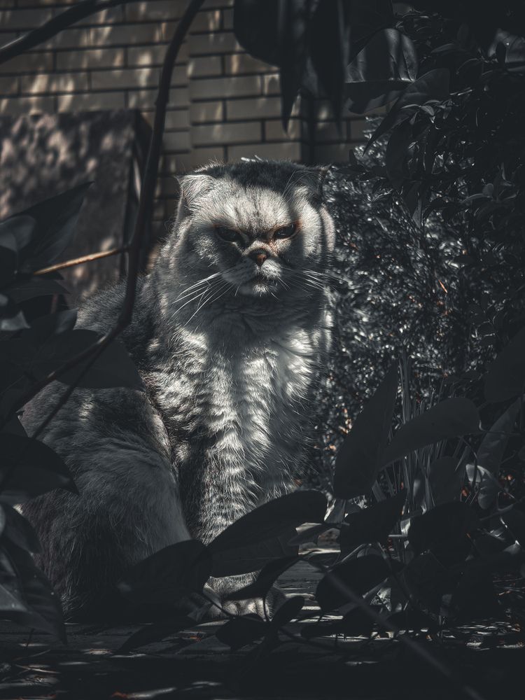 Фотография автора Евгений Былков