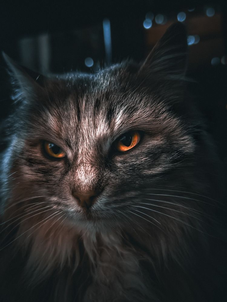 Фотография автора Евгений Былков