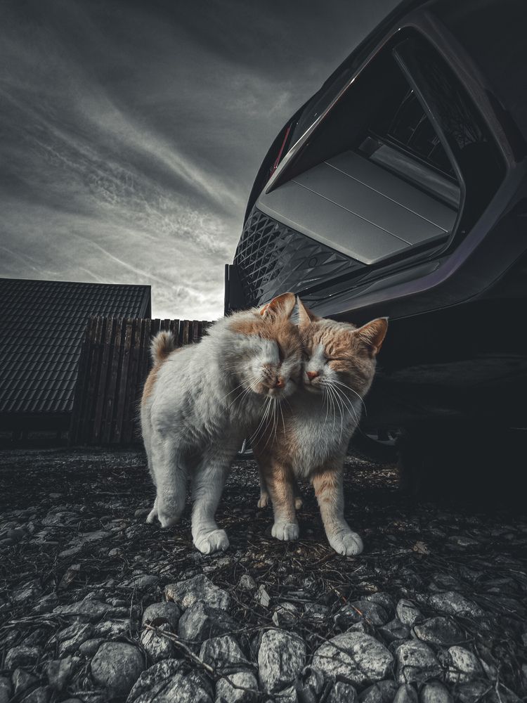 Photograph by Евгений Былков