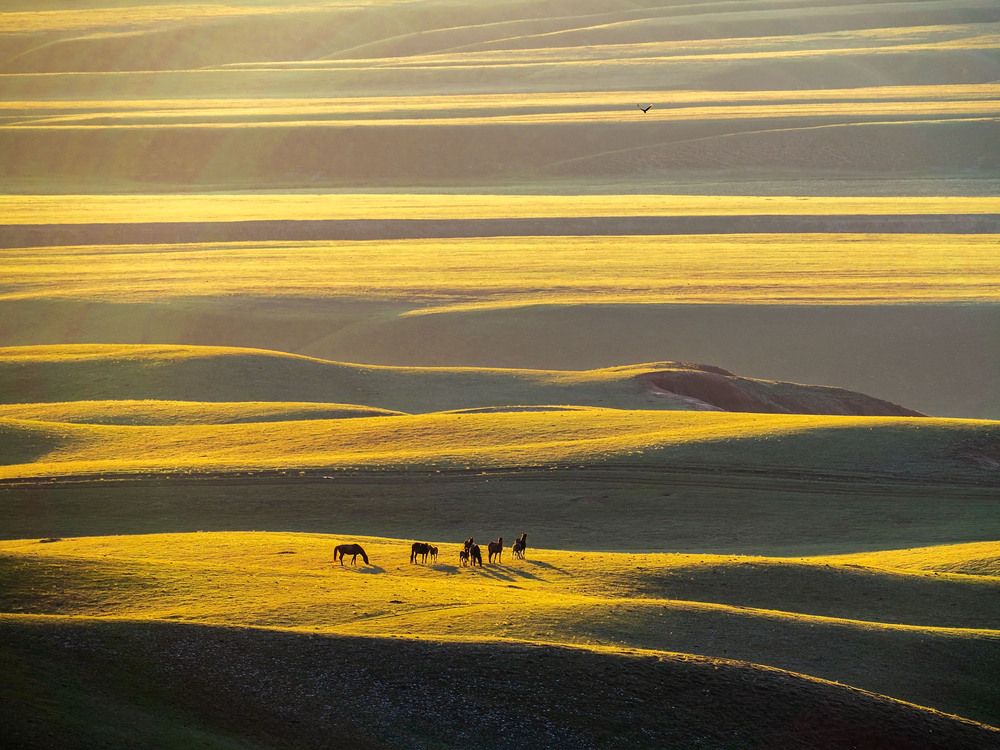 Photograph by Межин Сергей