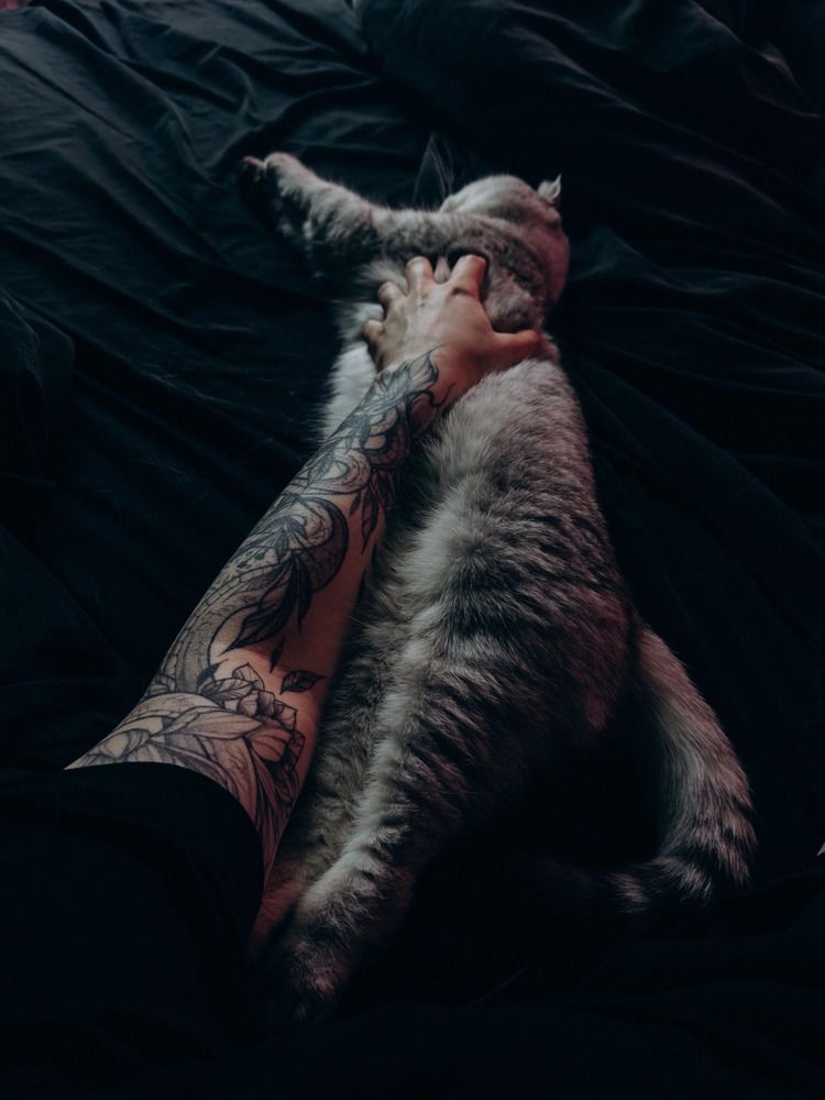 Photograph by Алиса Нежинская