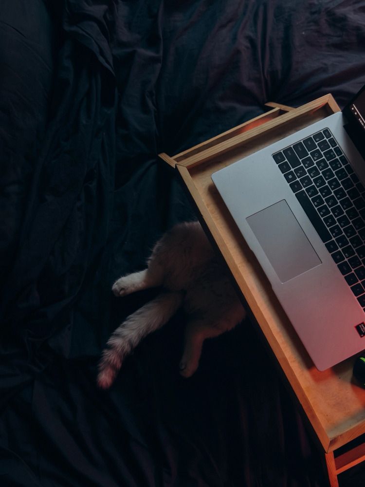 Photograph by Алиса Нежинская