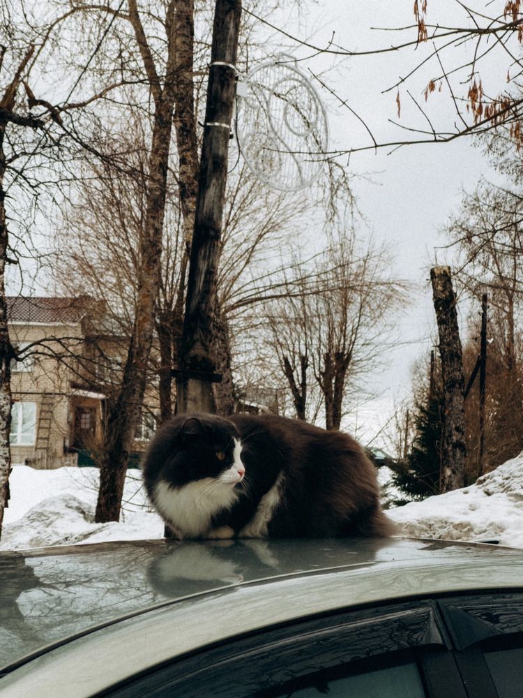 Photograph by Алиса Нежинская