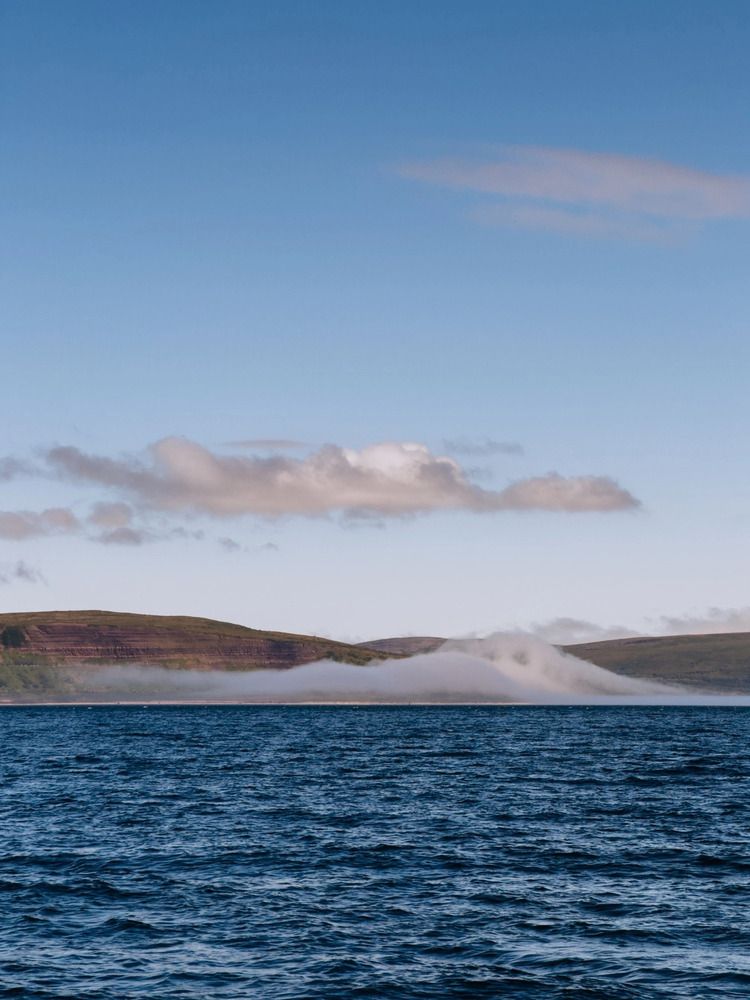 Photograph by Алиса Нежинская