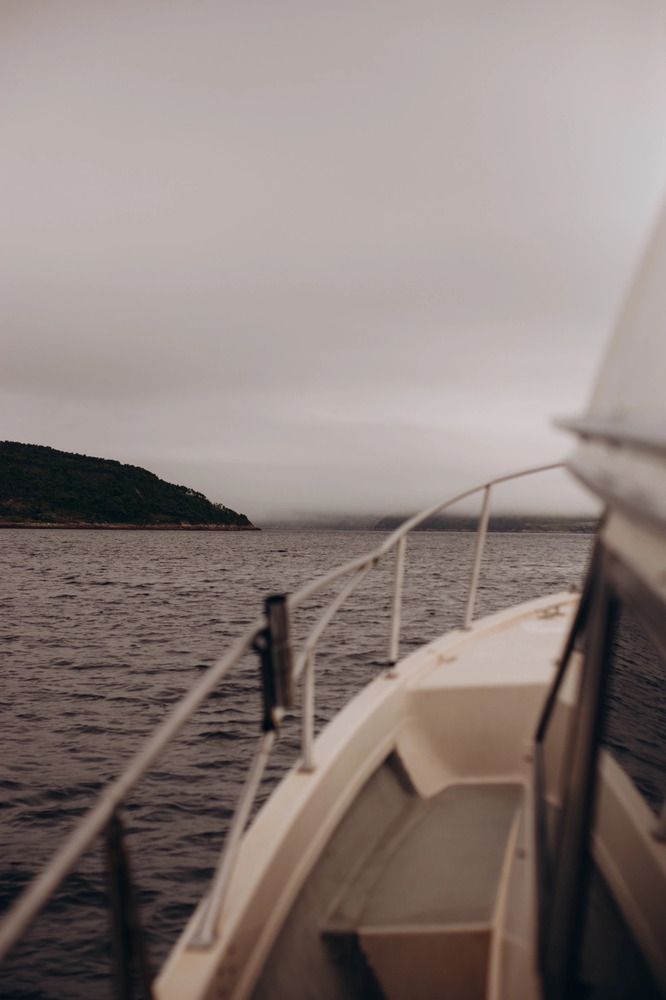 Photograph by Алиса Нежинская