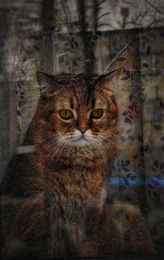 Фотография автора Татьяна Александровна Терехова