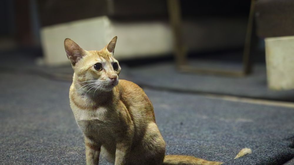 Photograph by surya kaduru