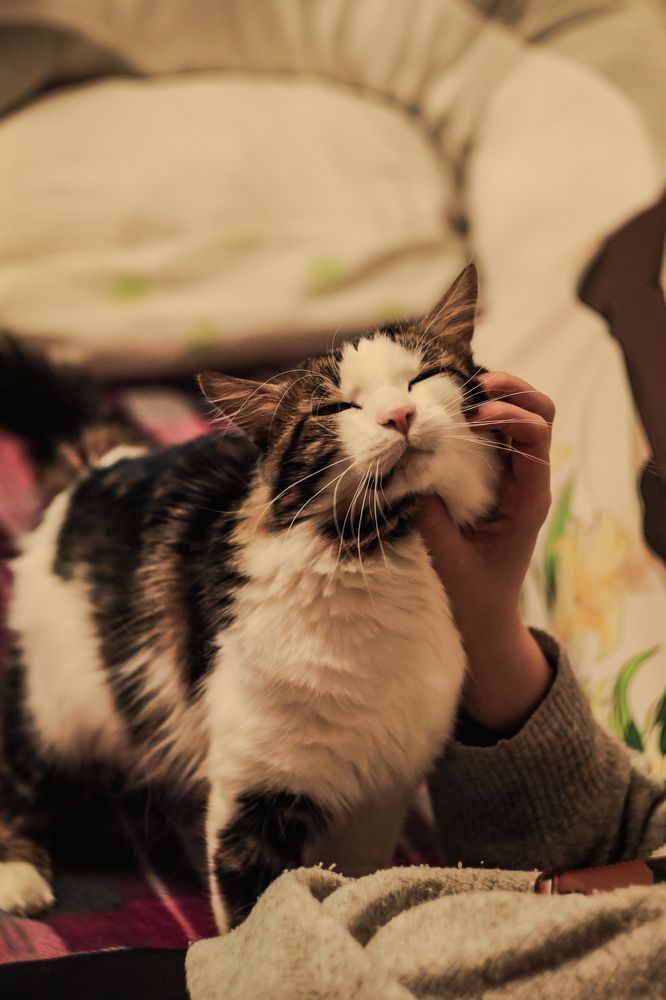 Photograph by Елена Квасова