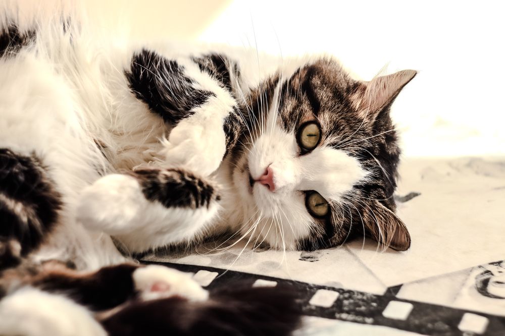 Photograph by Елена Квасова