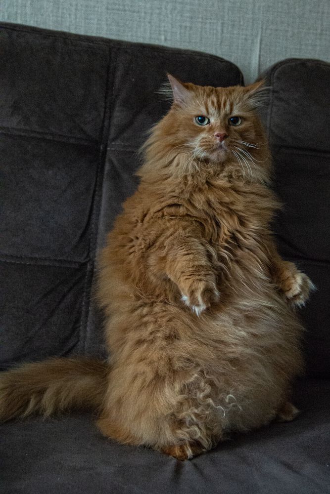 Фотография автора Алексей Буданцев