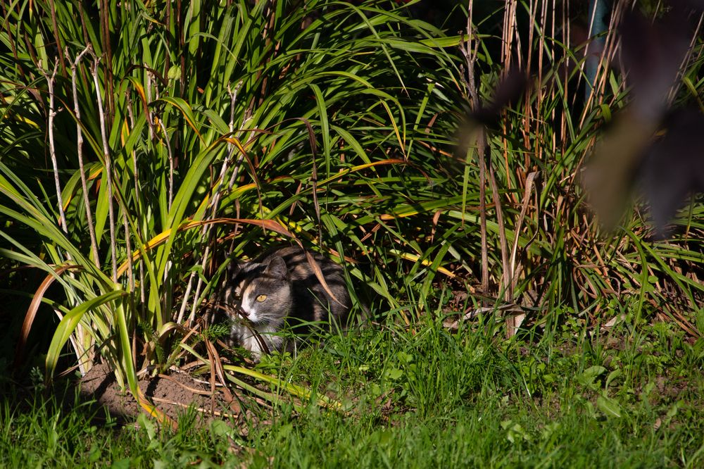 Photograph by Ксения Малютина