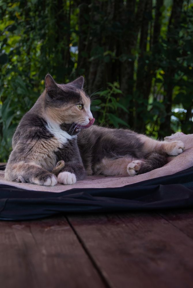 Photograph by Ксения Малютина