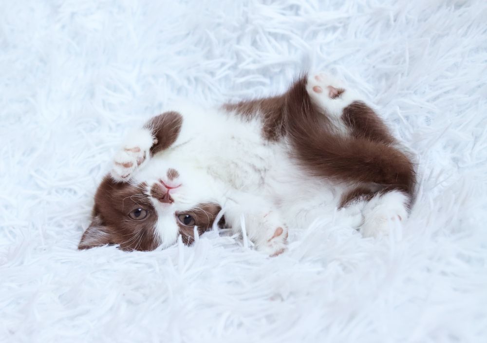 Photograph by Зуевская Дарья Орестовна