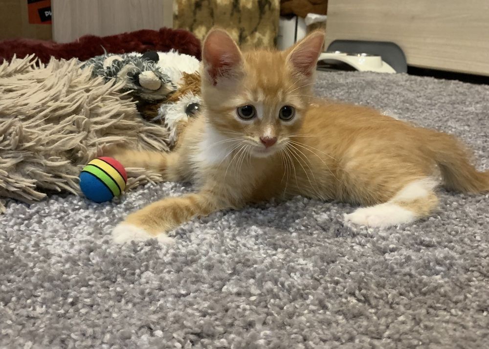 Photograph by Елена Зленко