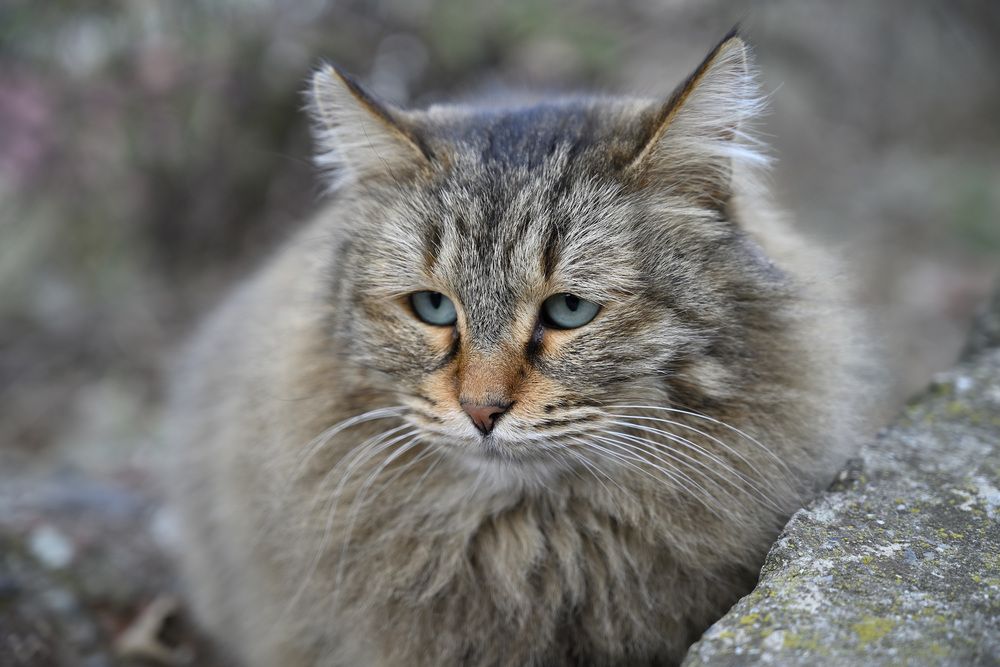 Photograph by Genadi Yakovlev