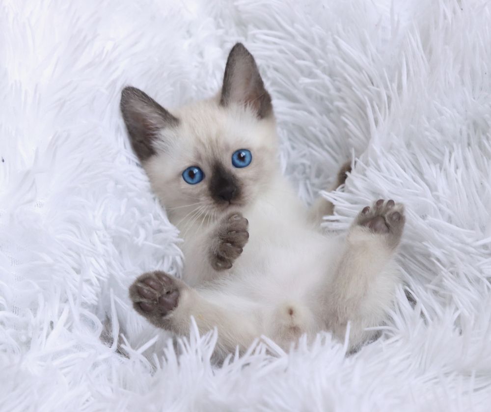 Photograph by Зуевская Дарья Орестовна