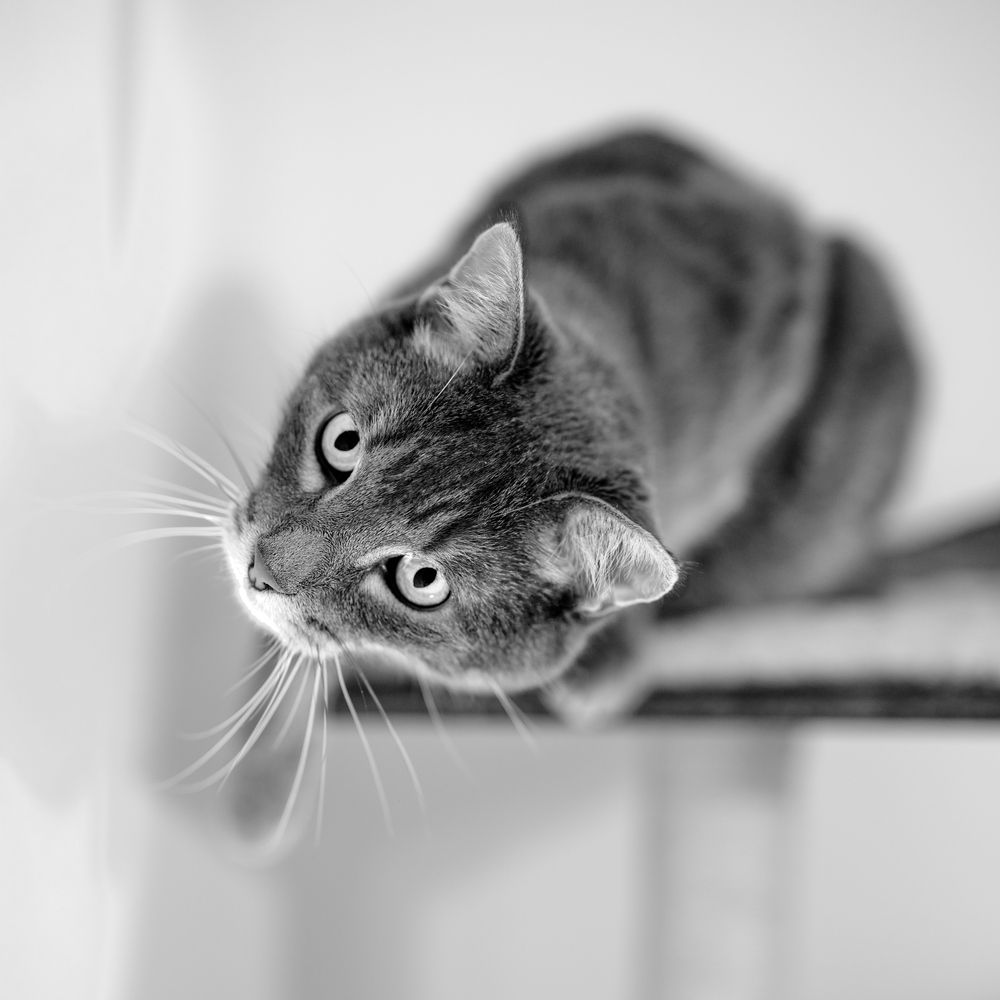 Photograph by Михаил Мамаев