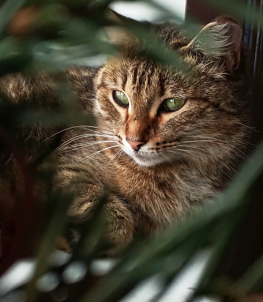 Photograph by Оксана Мельник