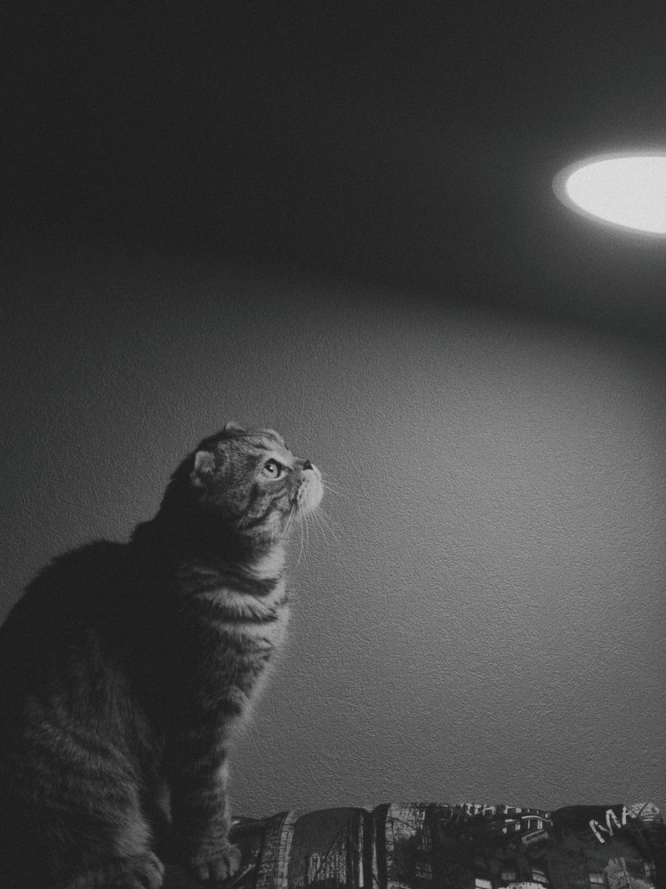 Photograph by Александра