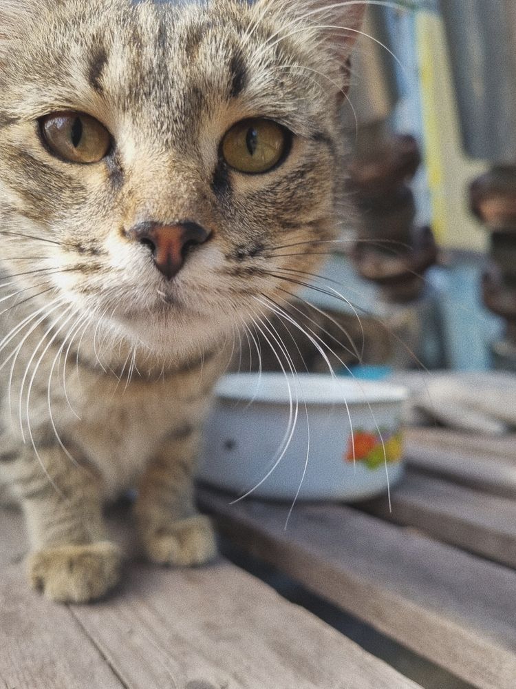 Photograph by Александра