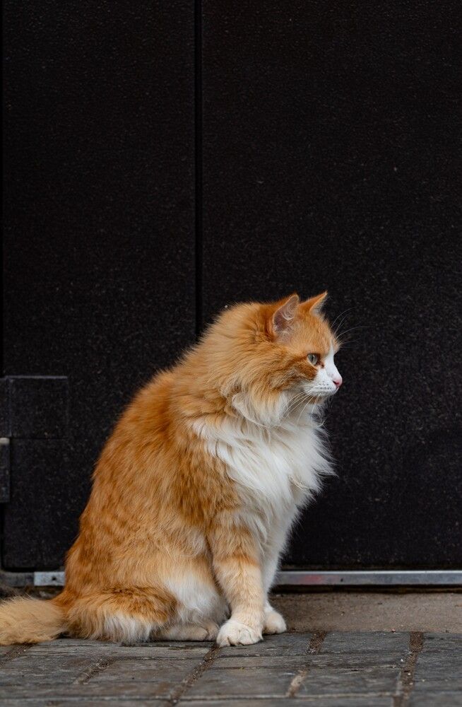 Photograph by Ксения Шилина