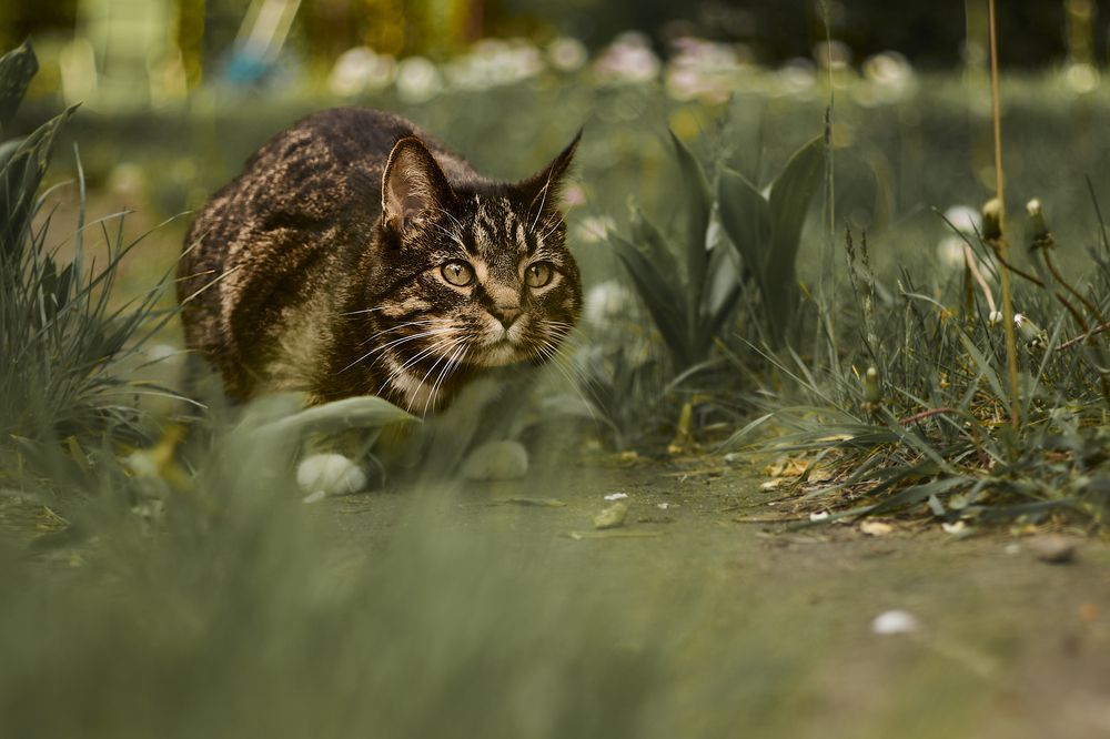 Photograph by Татьяна Полянская