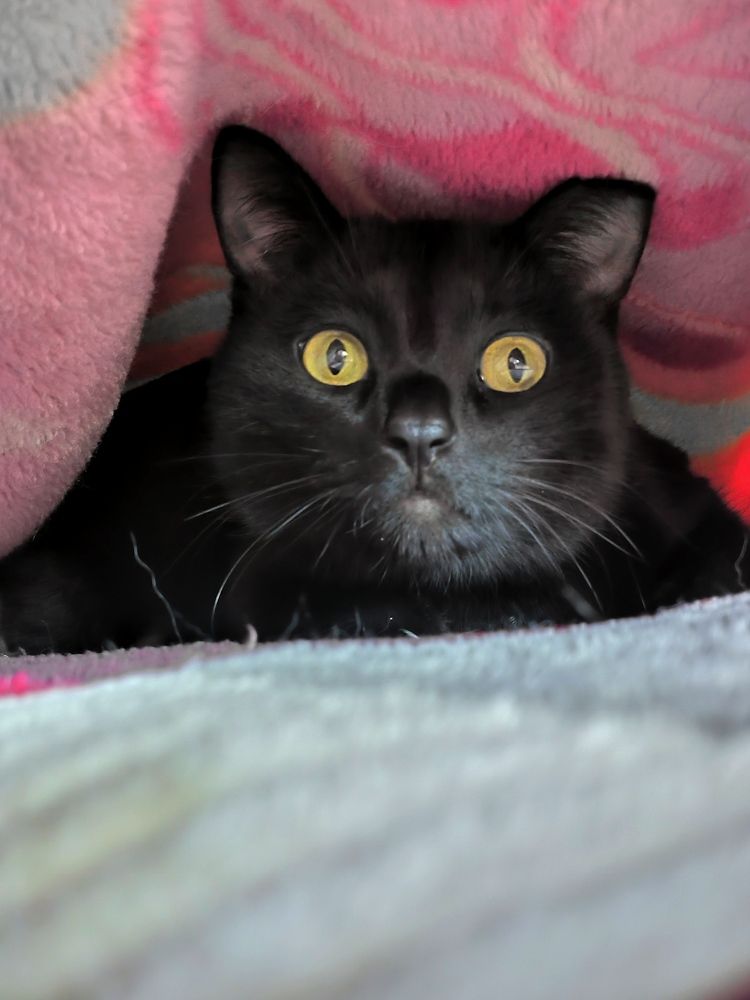 Photograph by Оксана Мельник