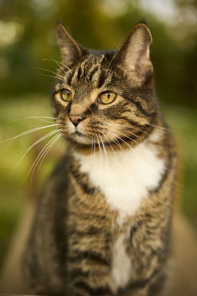 Photograph by Татьяна Полянская