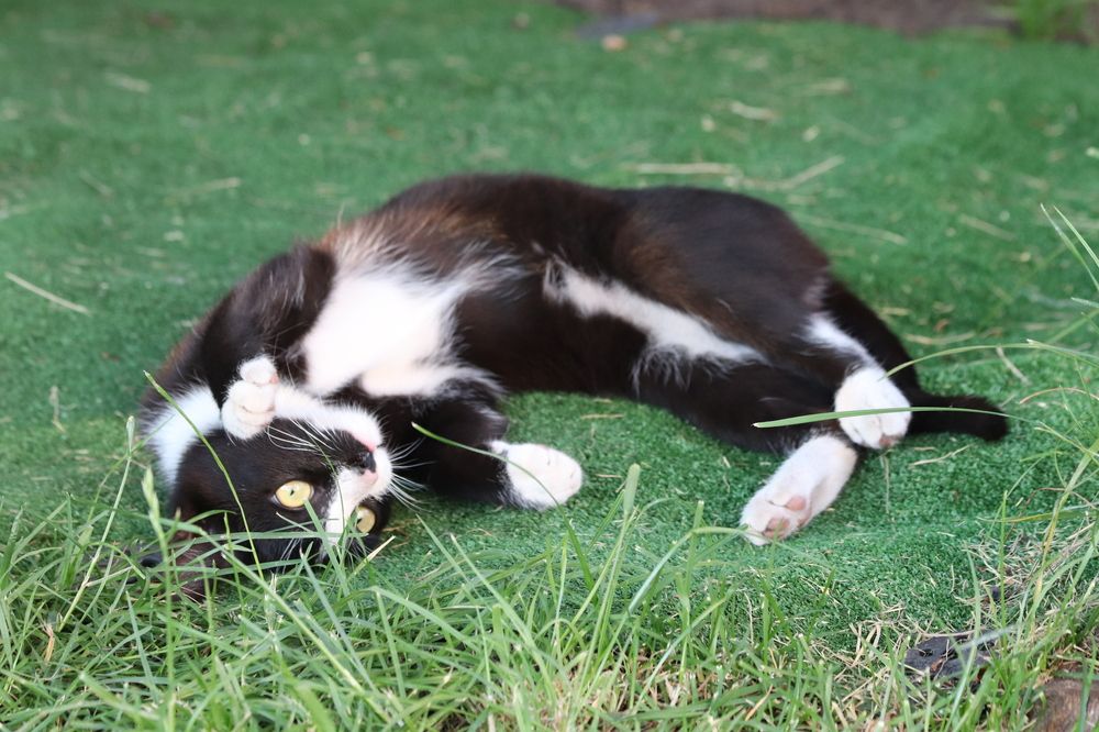 Photograph by Елена Иванкина