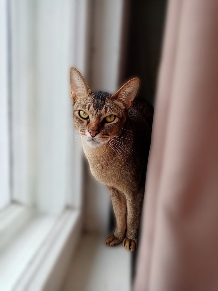 Photograph by Елена Сухорученкова