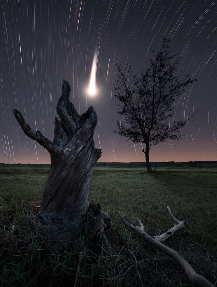 Photograph by Ranit Dholey