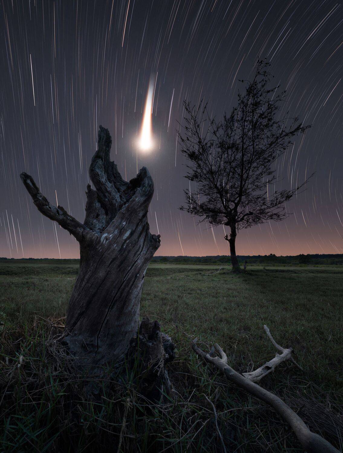 Фотография #12205646