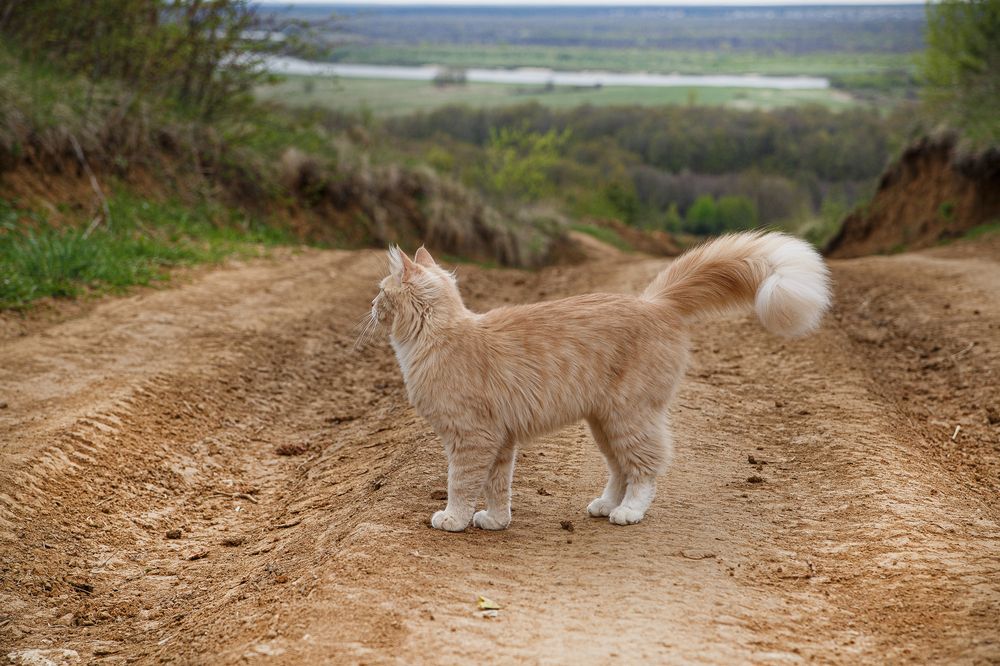 Photograph by Дарья Улюсова