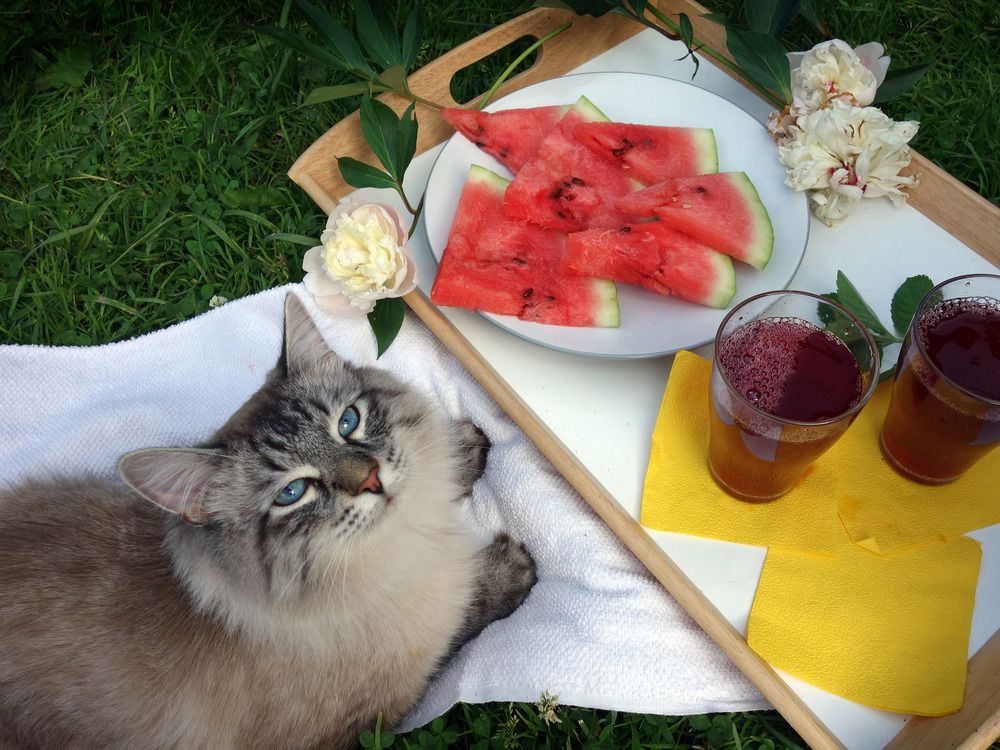 Photograph by Марина