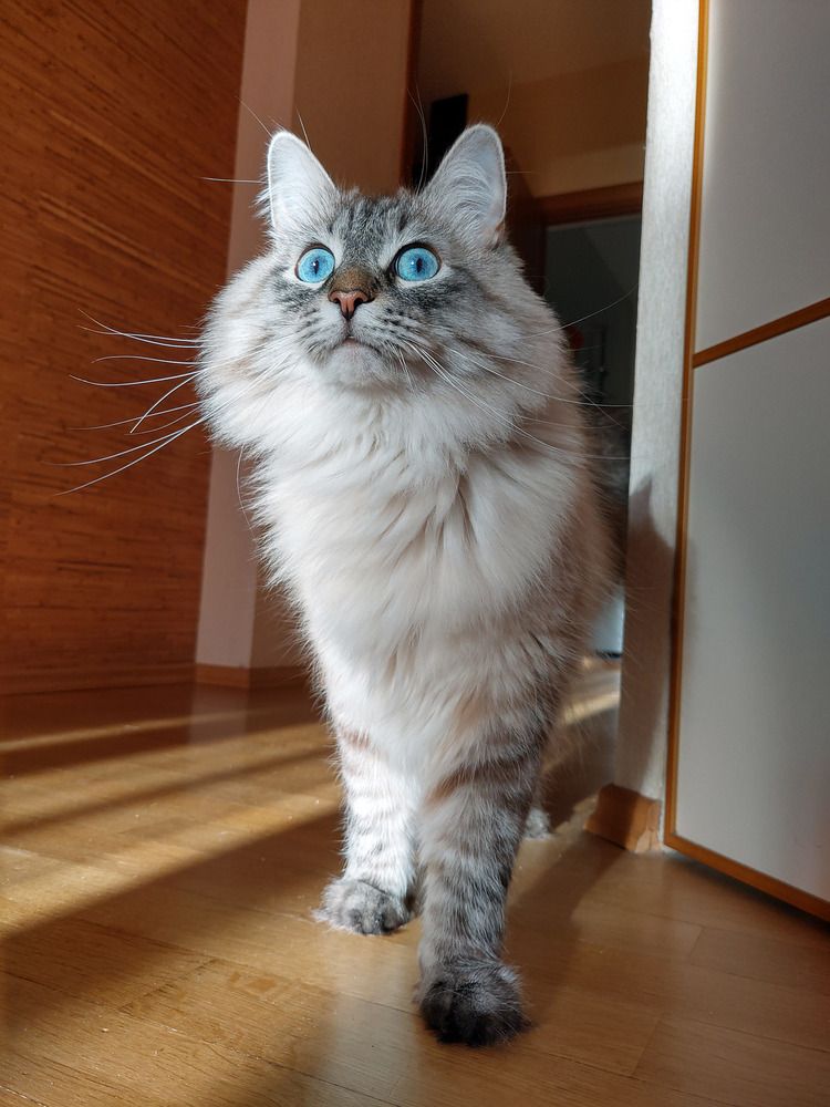 Photograph by Марина