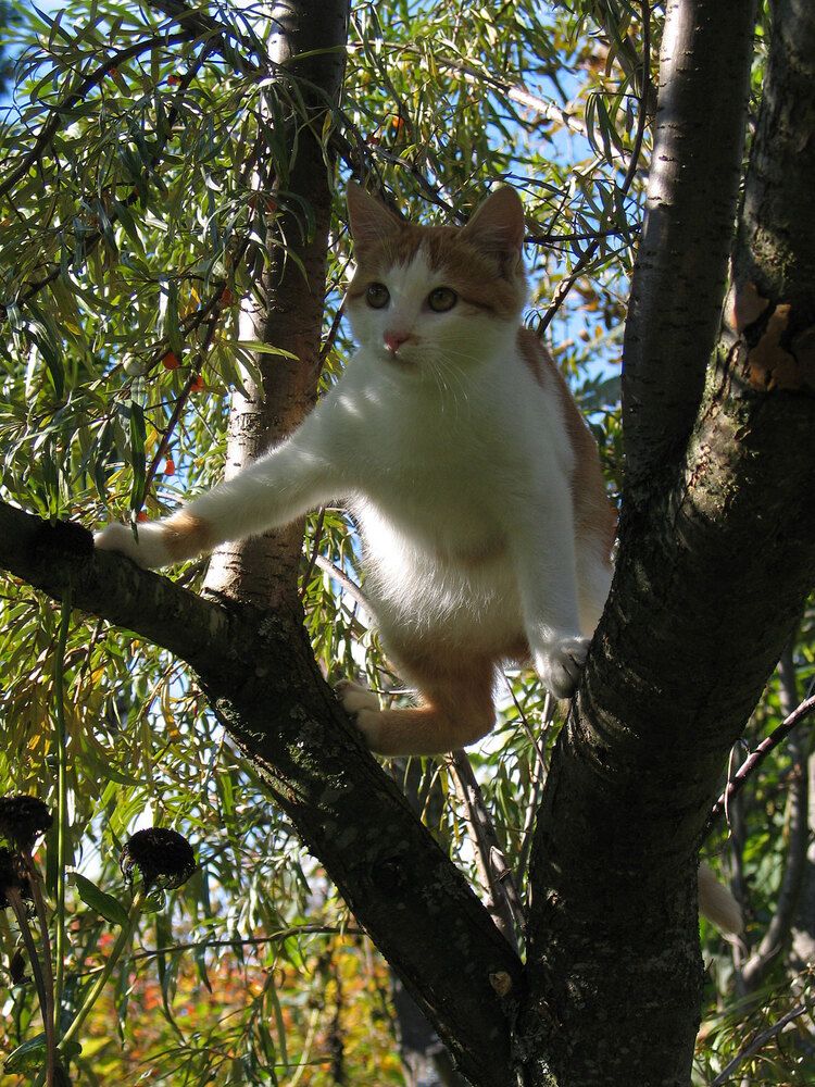 Photograph by Дмитрий Ткаченко