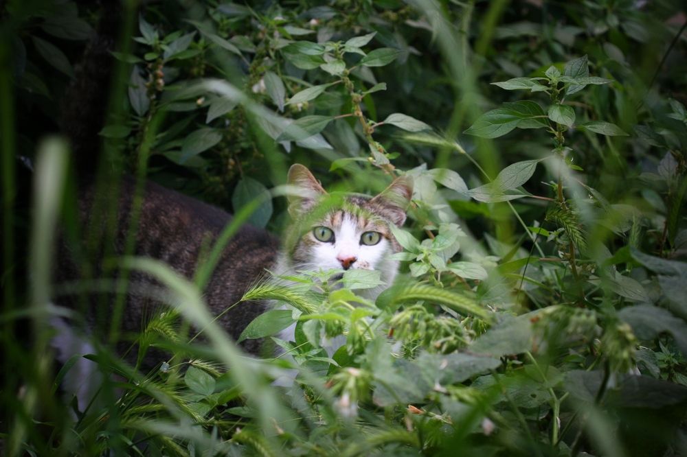 Photograph by fuat cimok