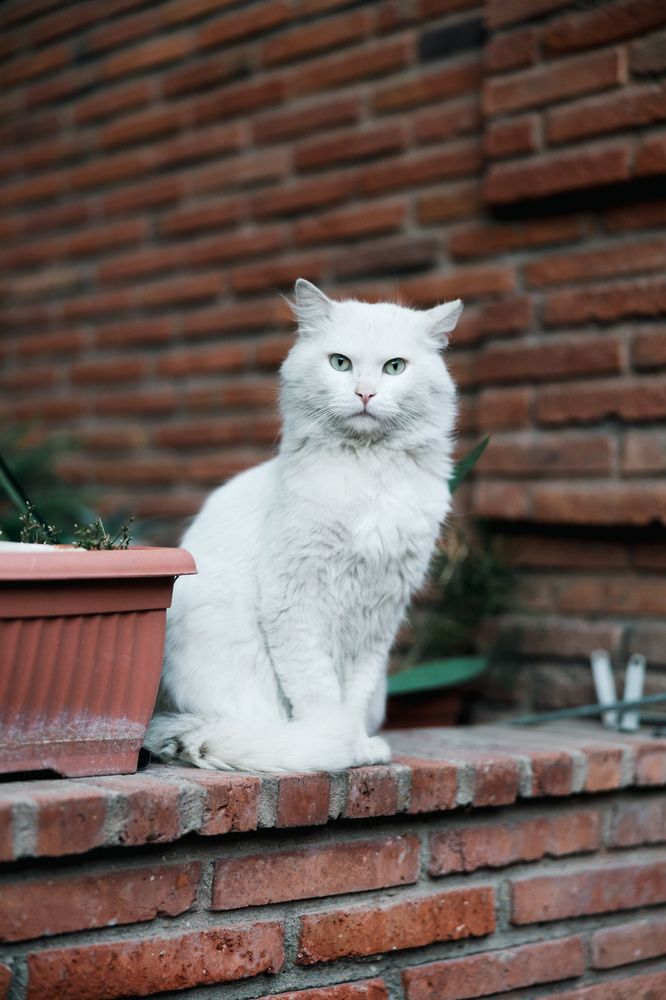 Photograph by Begadze Giorgi