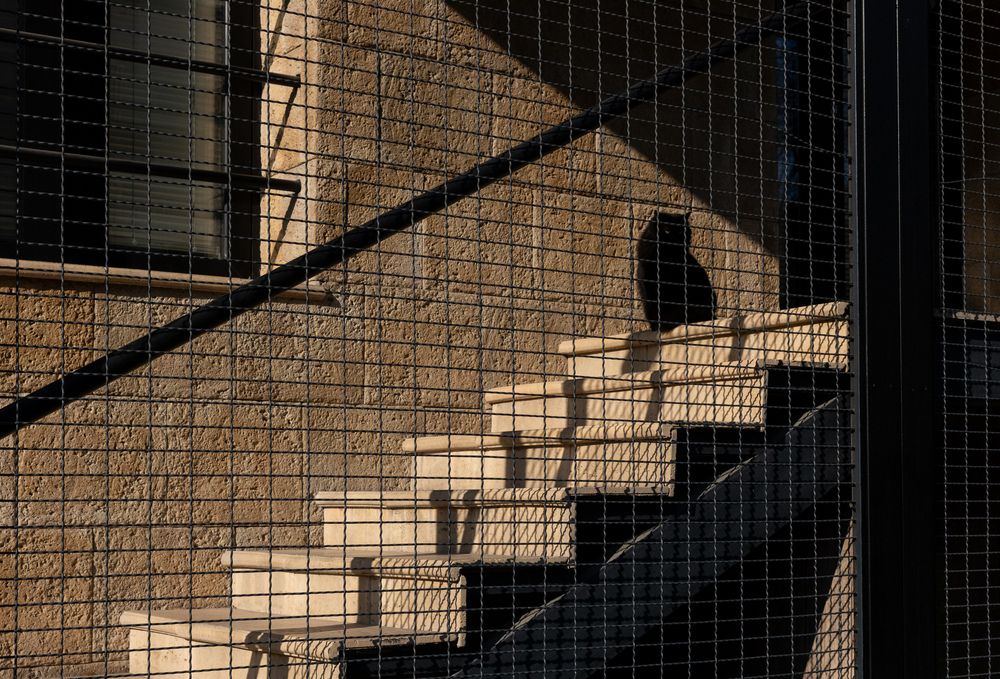 Photograph by Begadze Giorgi