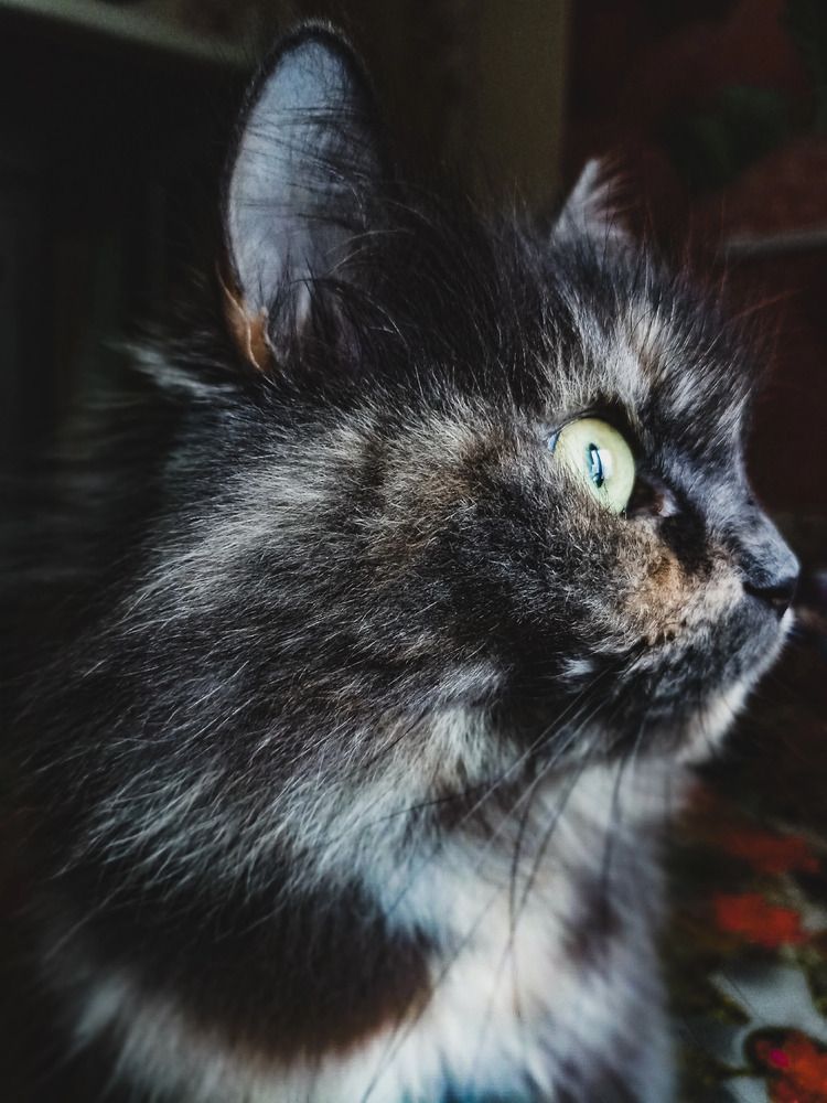 Photograph by Евгения Суслова