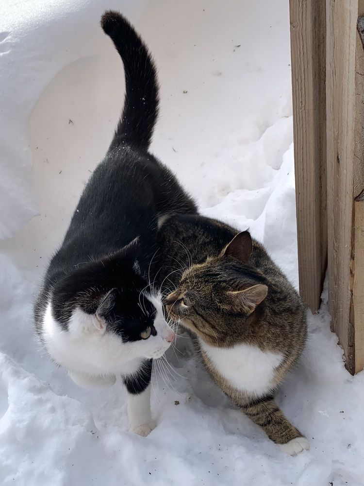 Photograph by Наталья Бирук