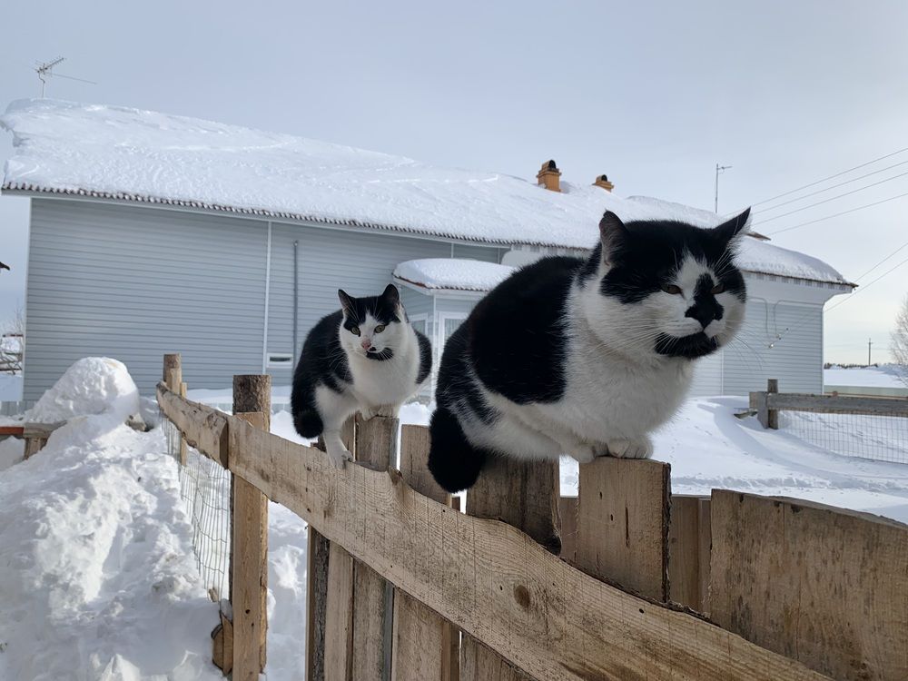 Photograph by Наталья Бирук