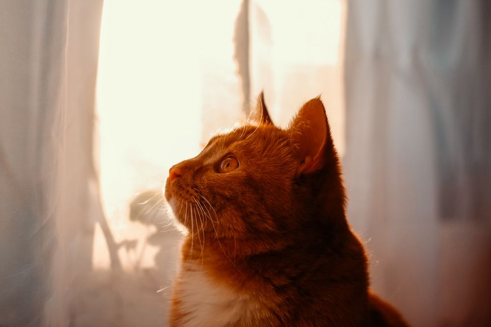 Photograph by Елена Лоцманова