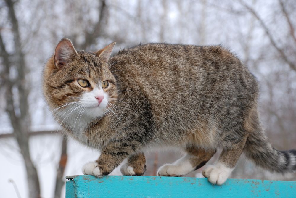 Photograph by Андрей Чуйков