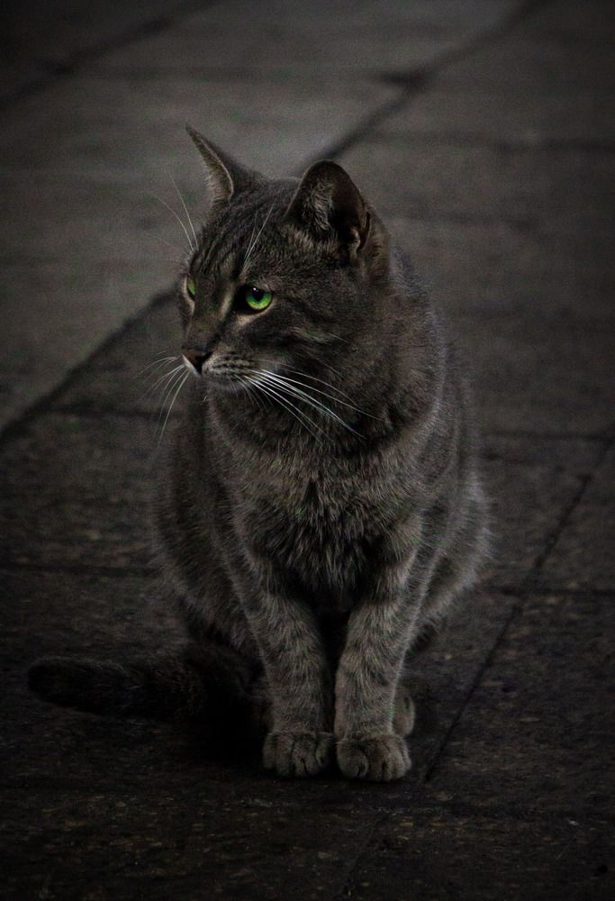 маленький работник