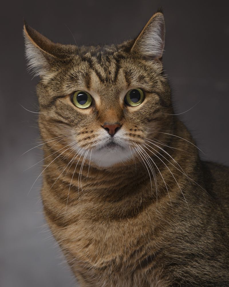 Photograph by Максим Вышарь