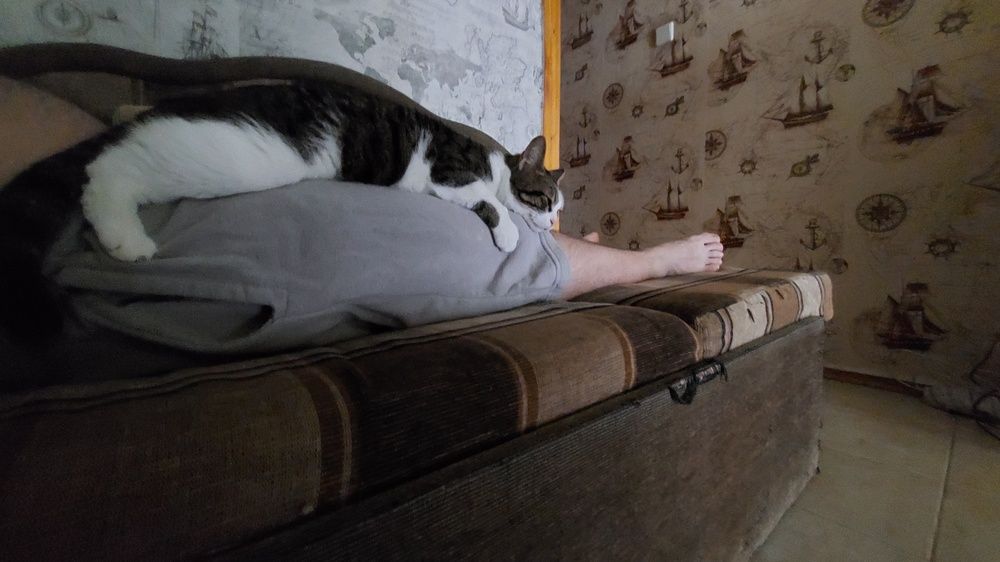 Фотография автора Анатолий Дячина