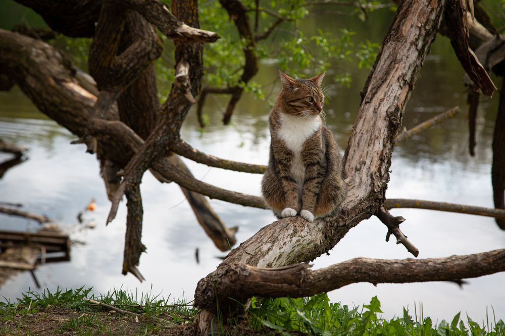 Photograph by Александр Ермоленко