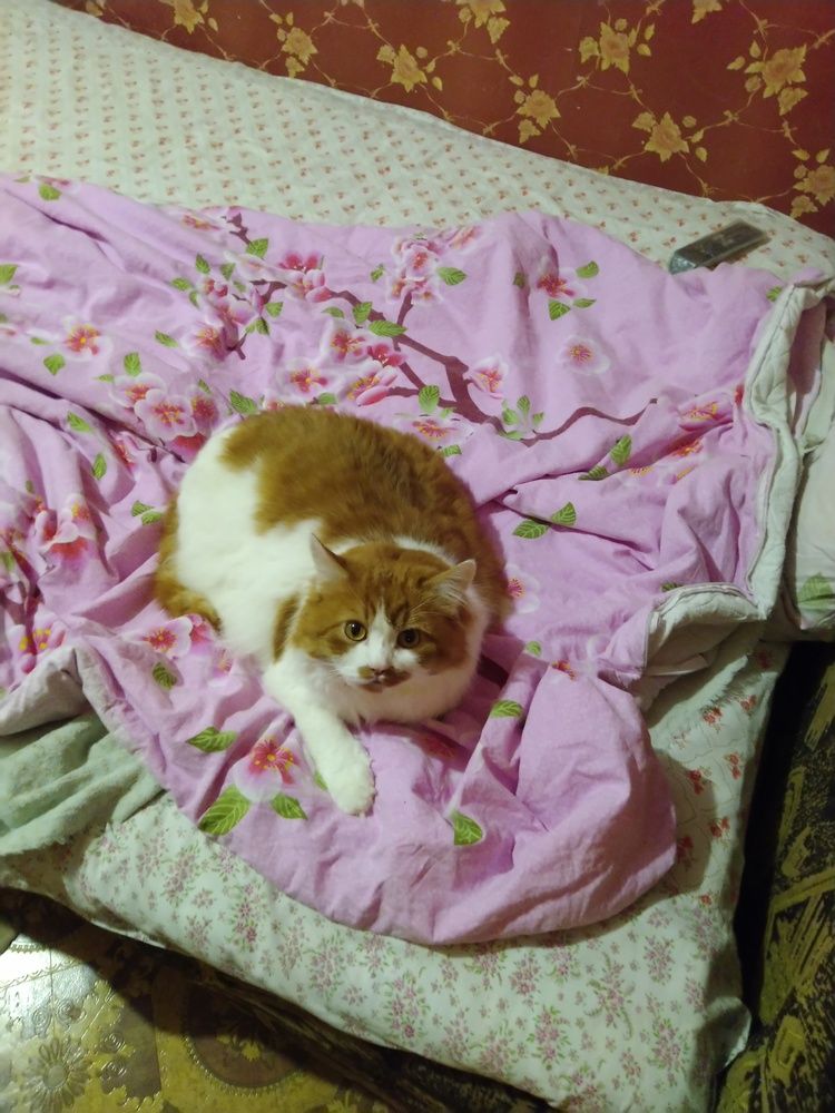 Гафт в ожидании когда идем спать ?